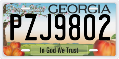 GA license plate PZJ9802