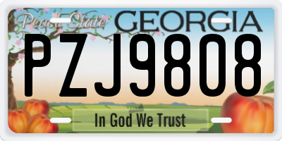 GA license plate PZJ9808