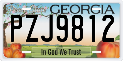 GA license plate PZJ9812