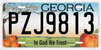 GA license plate PZJ9813