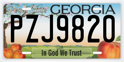 GA license plate PZJ9820
