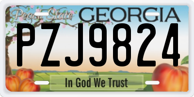 GA license plate PZJ9824