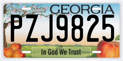 GA license plate PZJ9825