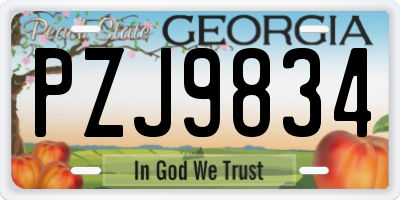 GA license plate PZJ9834