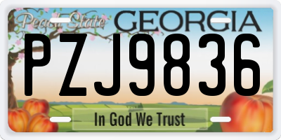 GA license plate PZJ9836