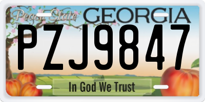 GA license plate PZJ9847