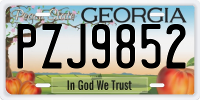 GA license plate PZJ9852