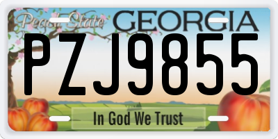 GA license plate PZJ9855