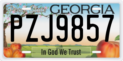 GA license plate PZJ9857