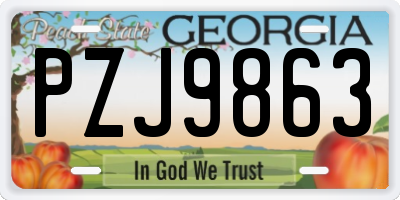GA license plate PZJ9863