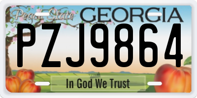 GA license plate PZJ9864