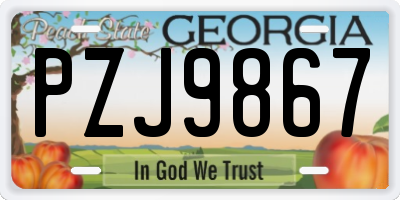 GA license plate PZJ9867