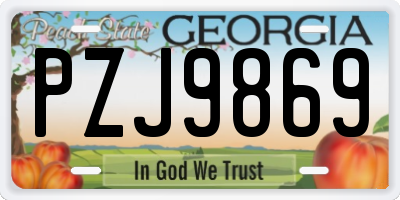 GA license plate PZJ9869
