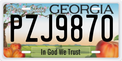 GA license plate PZJ9870