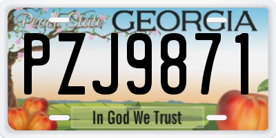 GA license plate PZJ9871