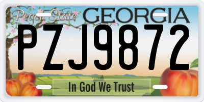 GA license plate PZJ9872