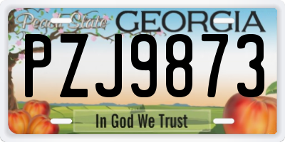 GA license plate PZJ9873