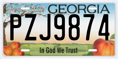 GA license plate PZJ9874