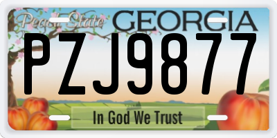 GA license plate PZJ9877