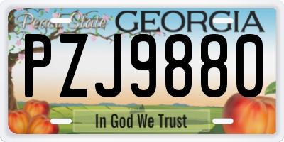 GA license plate PZJ9880