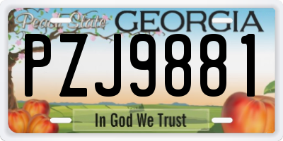 GA license plate PZJ9881