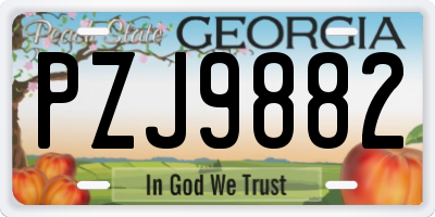 GA license plate PZJ9882