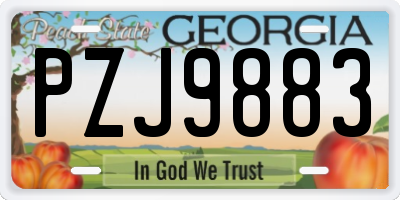 GA license plate PZJ9883