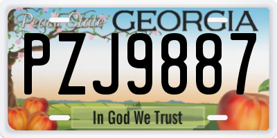 GA license plate PZJ9887