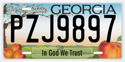 GA license plate PZJ9897