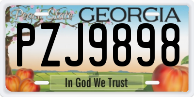 GA license plate PZJ9898