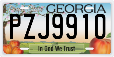 GA license plate PZJ9910