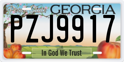GA license plate PZJ9917