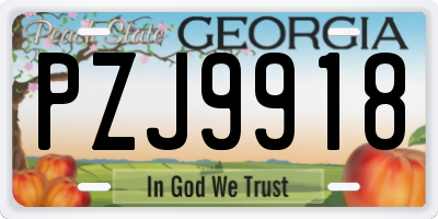 GA license plate PZJ9918