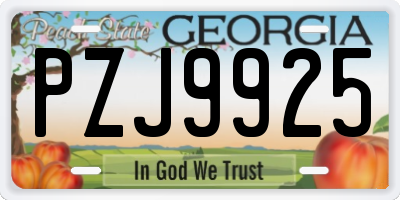 GA license plate PZJ9925