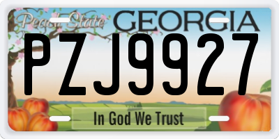GA license plate PZJ9927