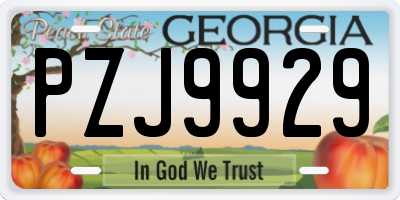 GA license plate PZJ9929