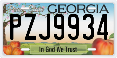 GA license plate PZJ9934