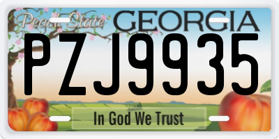 GA license plate PZJ9935