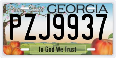 GA license plate PZJ9937