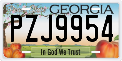 GA license plate PZJ9954