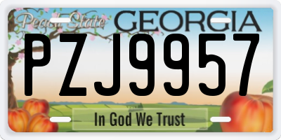 GA license plate PZJ9957