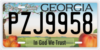 GA license plate PZJ9958