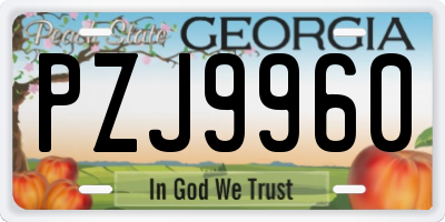 GA license plate PZJ9960