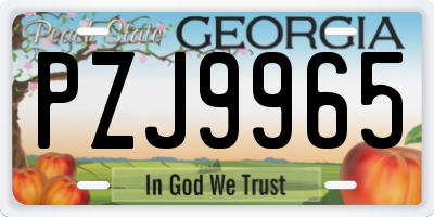 GA license plate PZJ9965