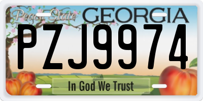 GA license plate PZJ9974