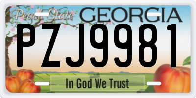GA license plate PZJ9981