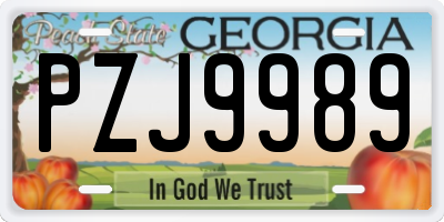 GA license plate PZJ9989
