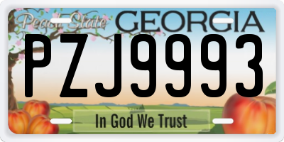 GA license plate PZJ9993
