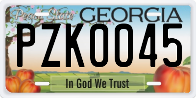 GA license plate PZK0045