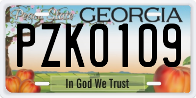 GA license plate PZK0109